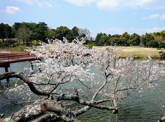 伊勢カントリークラブ - Photo 3