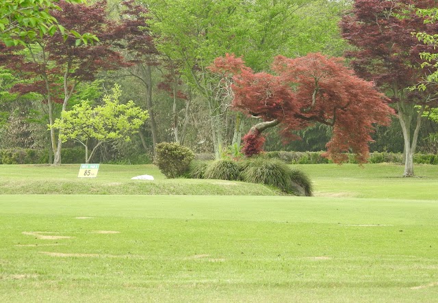 ＩＴＡＤＯパブリックコース - Photo 10