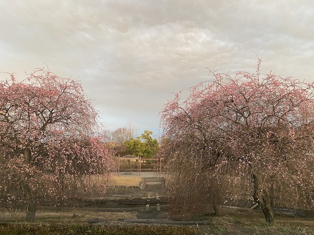 板倉ゴルフ場 - Photo 5