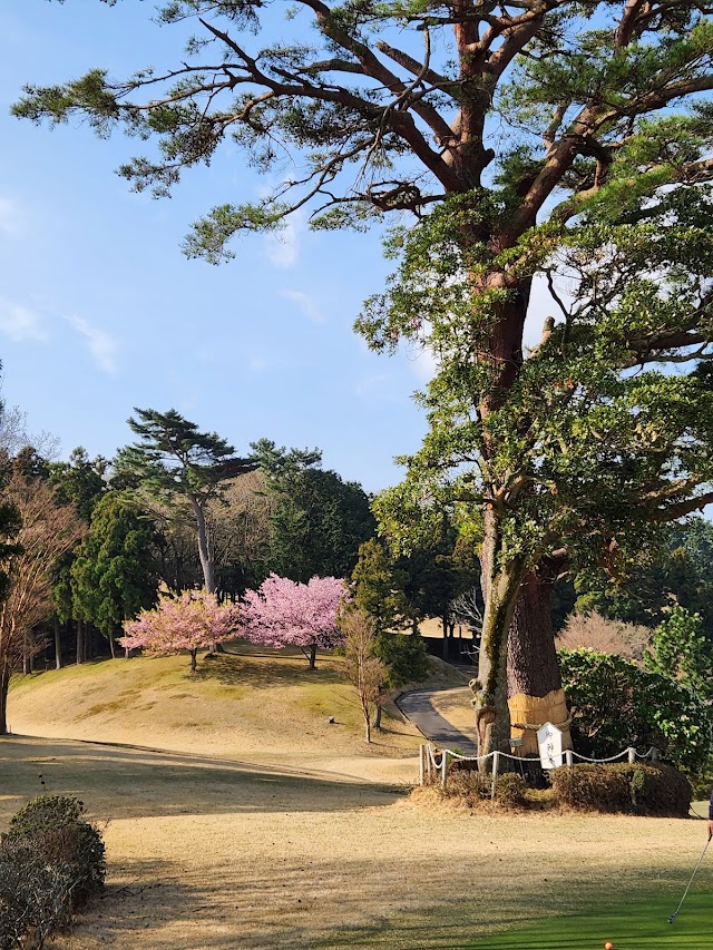 伊東カントリークラブ - Photo 6