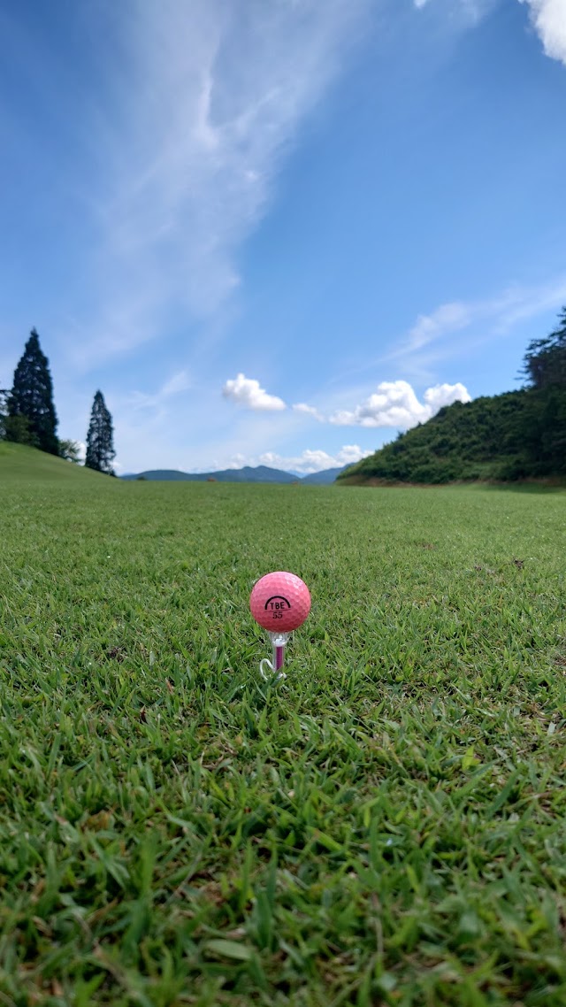 いわむらカントリークラブ - Photo 9