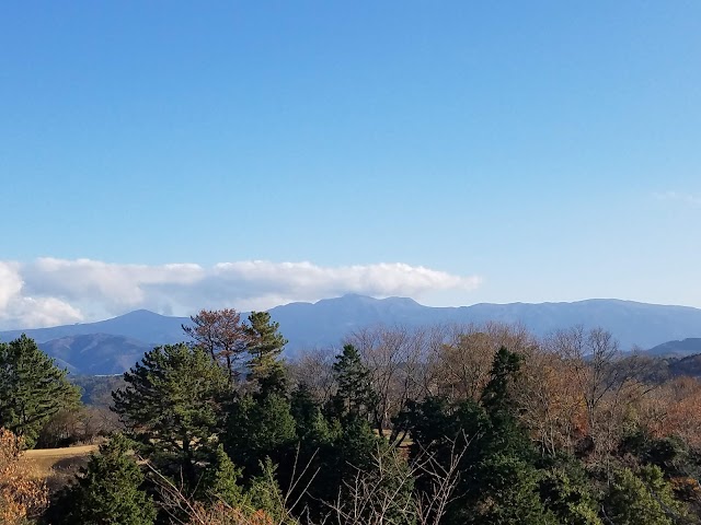 伊豆国際カントリークラブ - Photo 4
