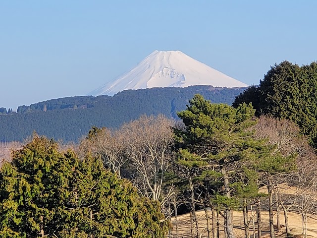 伊豆大仁カントリークラブ - Photo 5