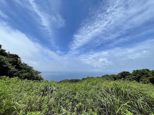 伊豆下田カントリークラブ - Photo 5