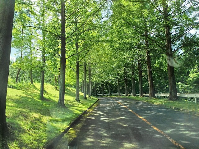泉国際ゴルフ倶楽部 - Photo 2