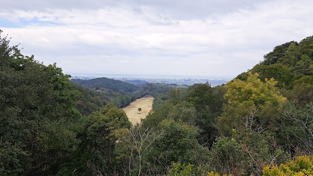 泉佐野カントリークラブ - Photo 2