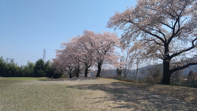 上武カントリークラブ - Photo 2