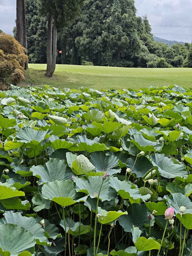 加賀カントリークラブ - Photo 4