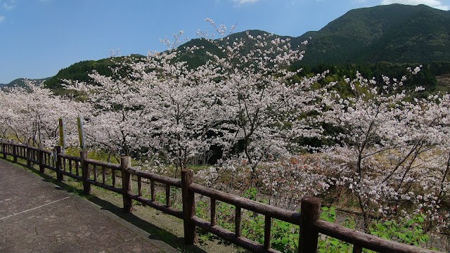 鹿児島鹿屋カントリークラブ - Photo 1