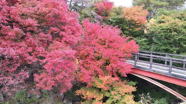 加茂ゴルフ倶楽部 - Photo 4