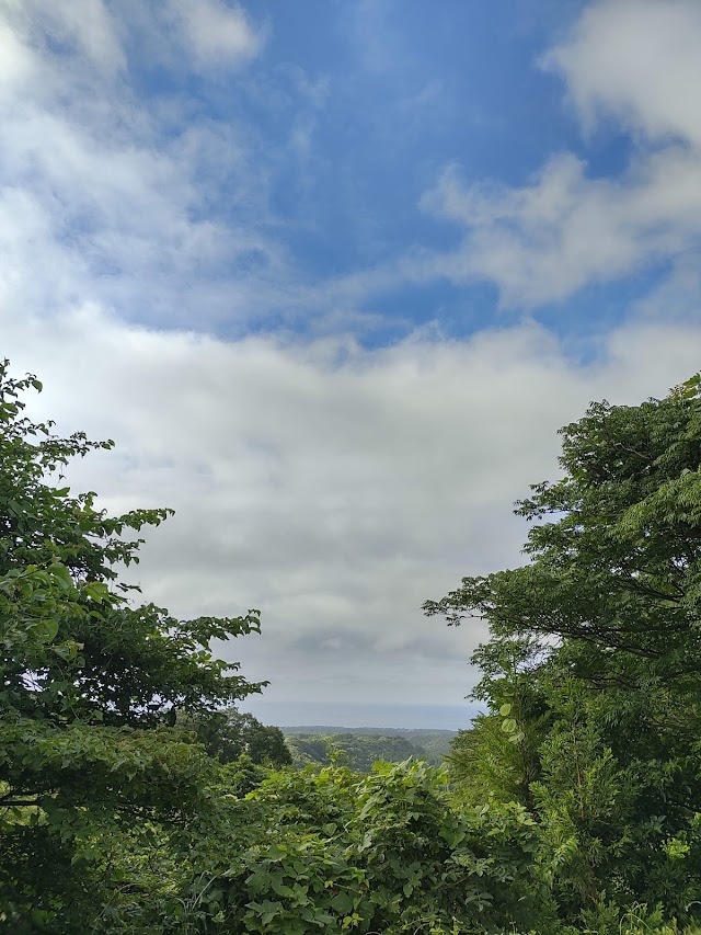 神田ゴルフクラブ - Photo 9