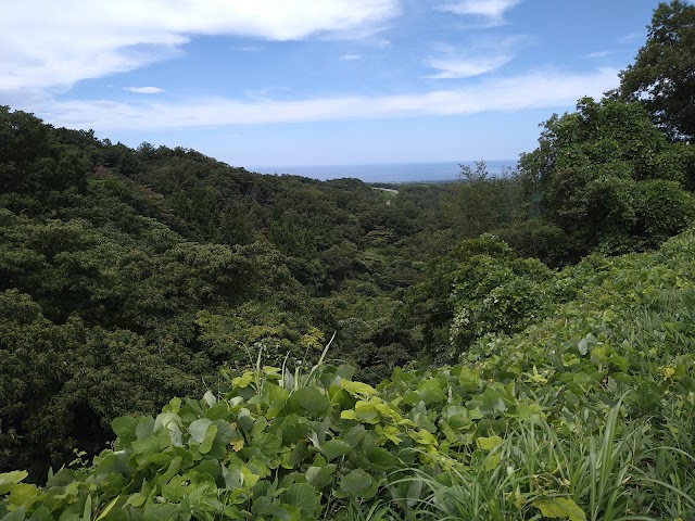 神田ゴルフクラブ - Photo 6