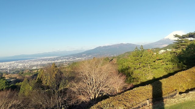 凾南ゴルフ倶楽部 - Photo 4