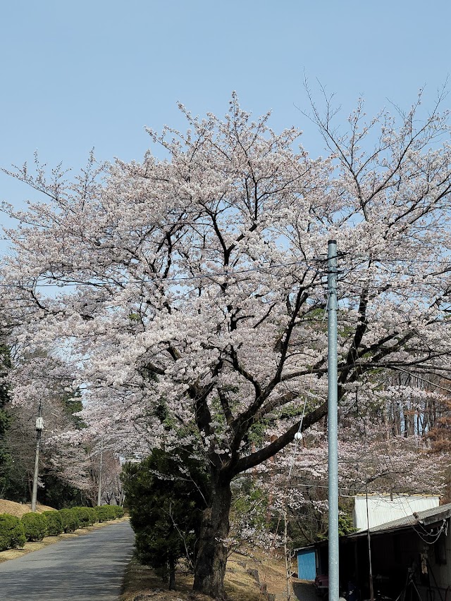 鹿沼７２カントリークラブ - Photo 7