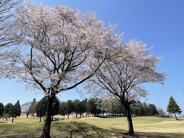 鹿沼カントリー倶楽部 - Photo 5