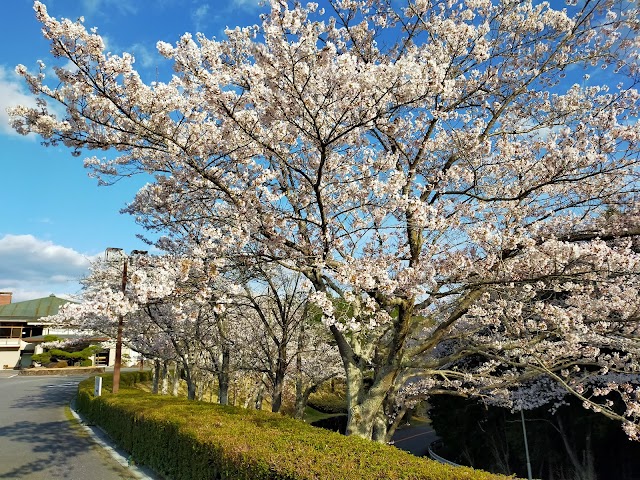 加西カントリークラブ - Photo 1