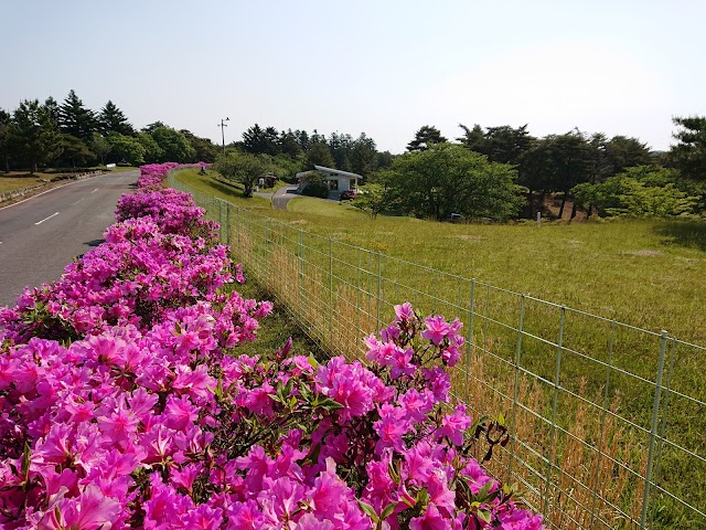 鹿島カントリー倶楽部 - Photo 2
