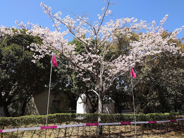 葛城ゴルフ倶楽部 - Photo 6