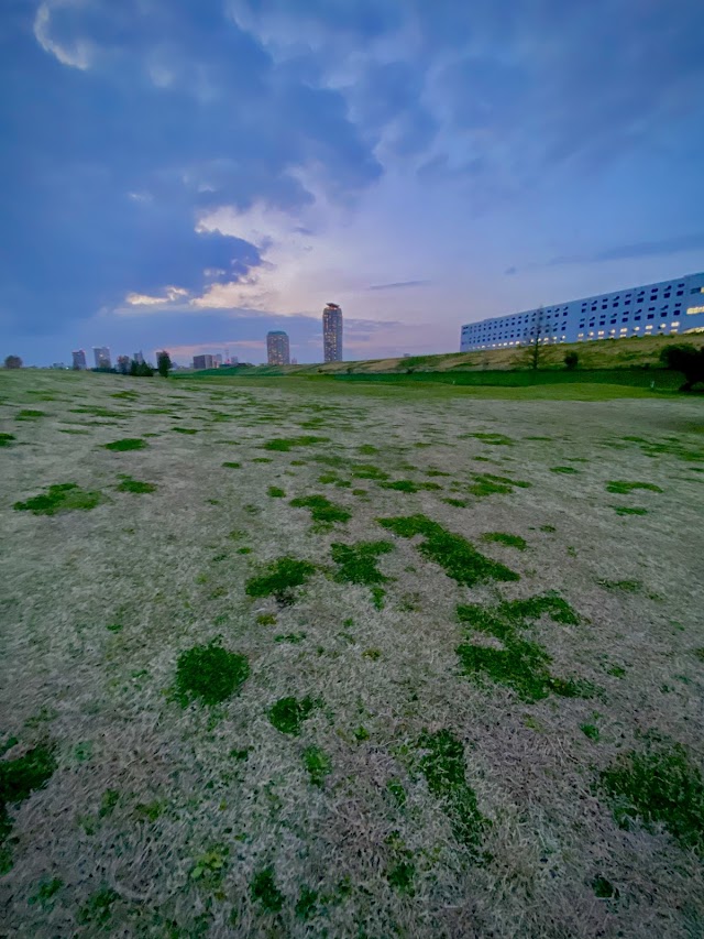 川口パブリックゴルフ場 - Photo 5