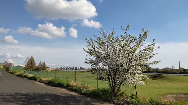 川口パブリックゴルフ場 - Photo 2