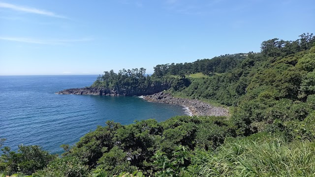 川奈ホテルゴルフコース　大島コース - Photo 5