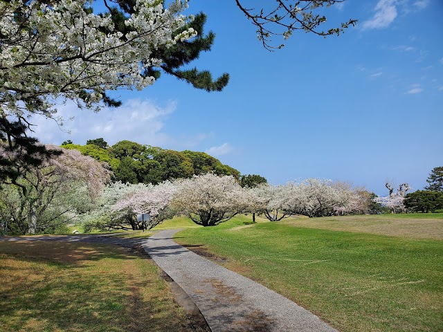 川奈ホテルゴルフコース　大島コース - Photo 8