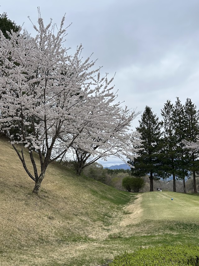 川中嶋カントリークラブ - Photo 5