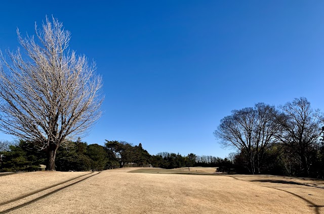 川崎国際生田緑地ゴルフ場 - Photo 5