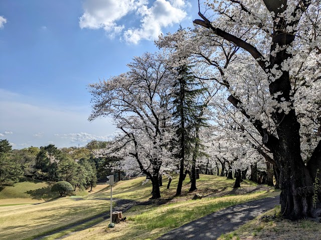 川崎国際生田緑地ゴルフ場 - Photo 4