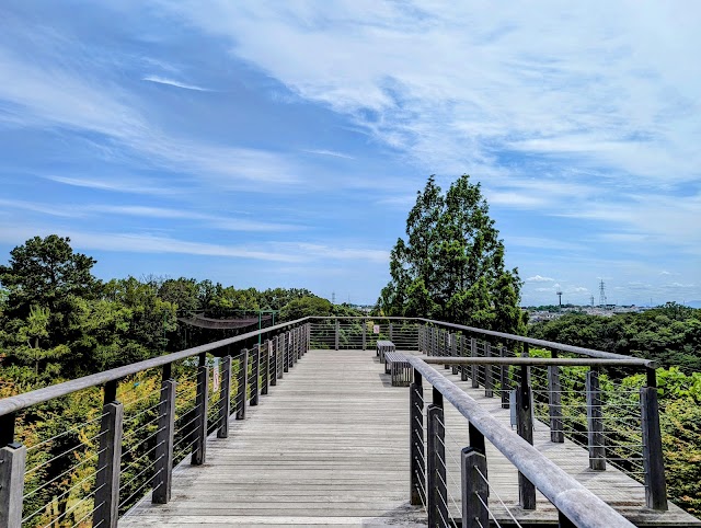 川崎国際生田緑地ゴルフ場 - Photo 3