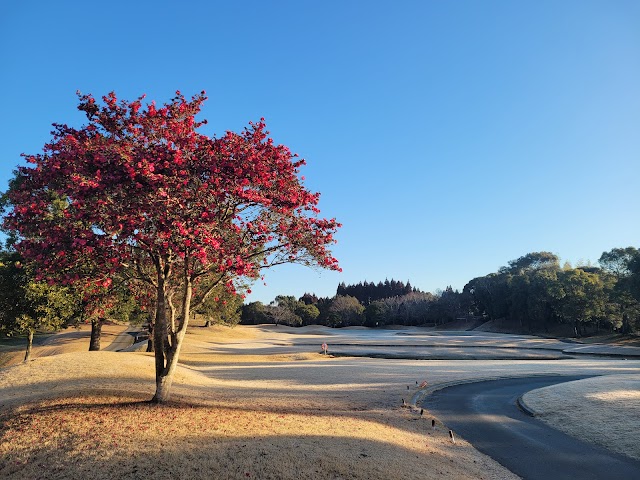 祁答院ゴルフ倶楽部 - Photo 3