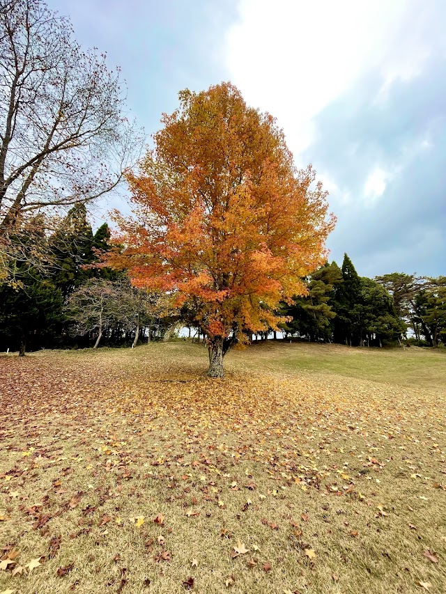 吉備高原カントリークラブ - Photo 4