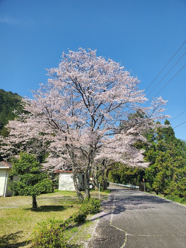 錦山カントリークラブ - Photo 8