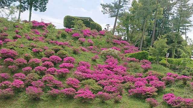 錦山カントリークラブ - Photo 7