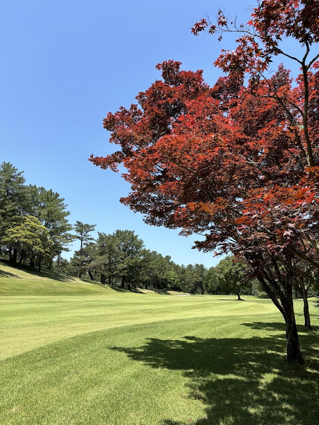 霧島ゴルフクラブ - Photo 7