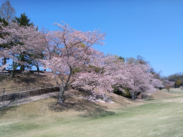 きさいちカントリークラブ - Photo 1