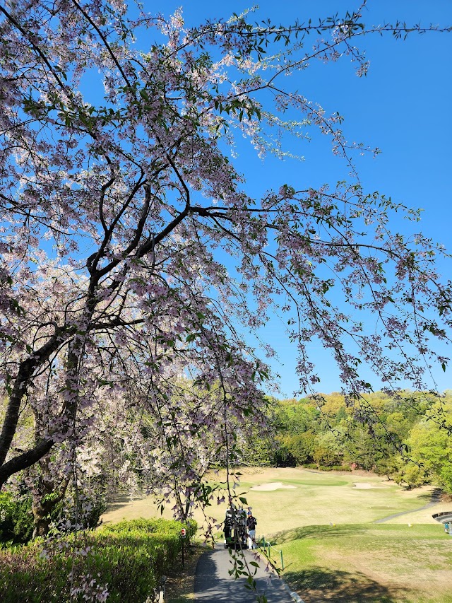北武蔵カントリークラブ - Photo 3