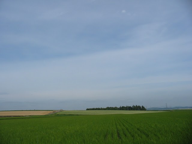 北竜温泉ゴルフ場 - Photo 1