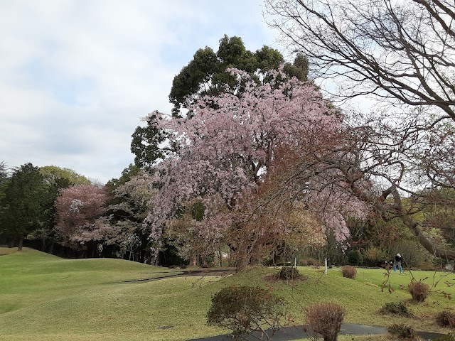 清川カントリークラブ - Photo 3