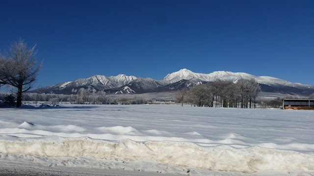 清里アーリーバードゴルフクラブ - Photo 5