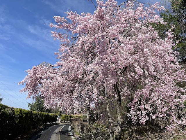 こぶしゴルフ倶楽部 - Photo 3