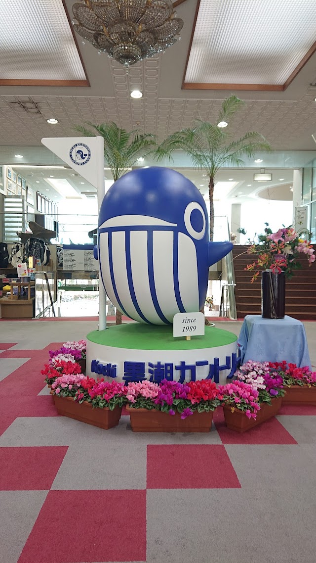 Ｋｏｃｈｉ黒潮カントリークラブ - Photo 8