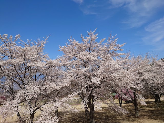 甲府国際カントリークラブ - Photo 8
