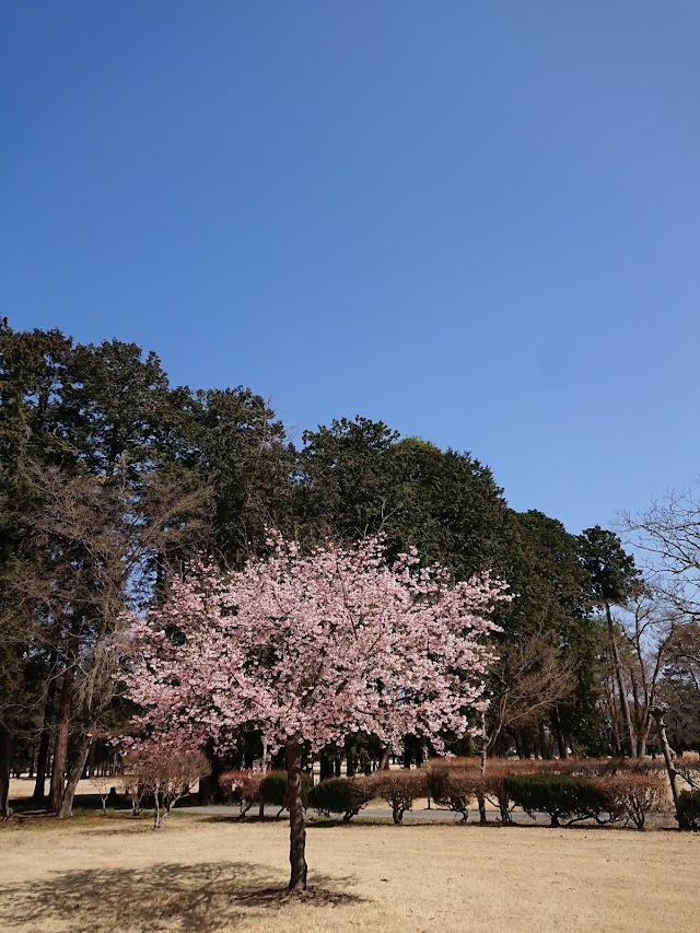小山ゴルフクラブ - Photo 8