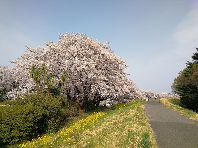 熊谷ゴルフクラブ - Photo 3