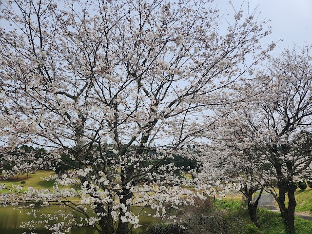 熊本南カントリークラブ - Photo 4