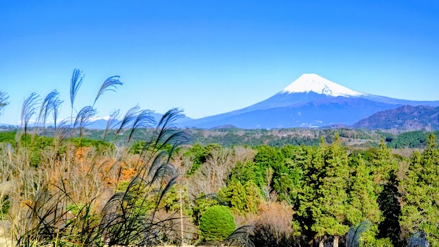 ラフォーレ修善寺＆カントリークラブ - Photo 1