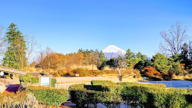 ラフォーレ修善寺＆カントリークラブ - Photo 7