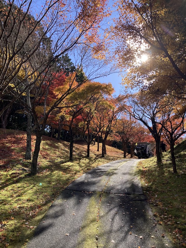 レイク浜松カントリークラブ - Photo 5