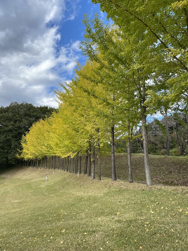 ラインヒルゴルフクラブ - Photo 4